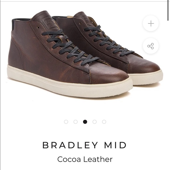 clae bradley mid